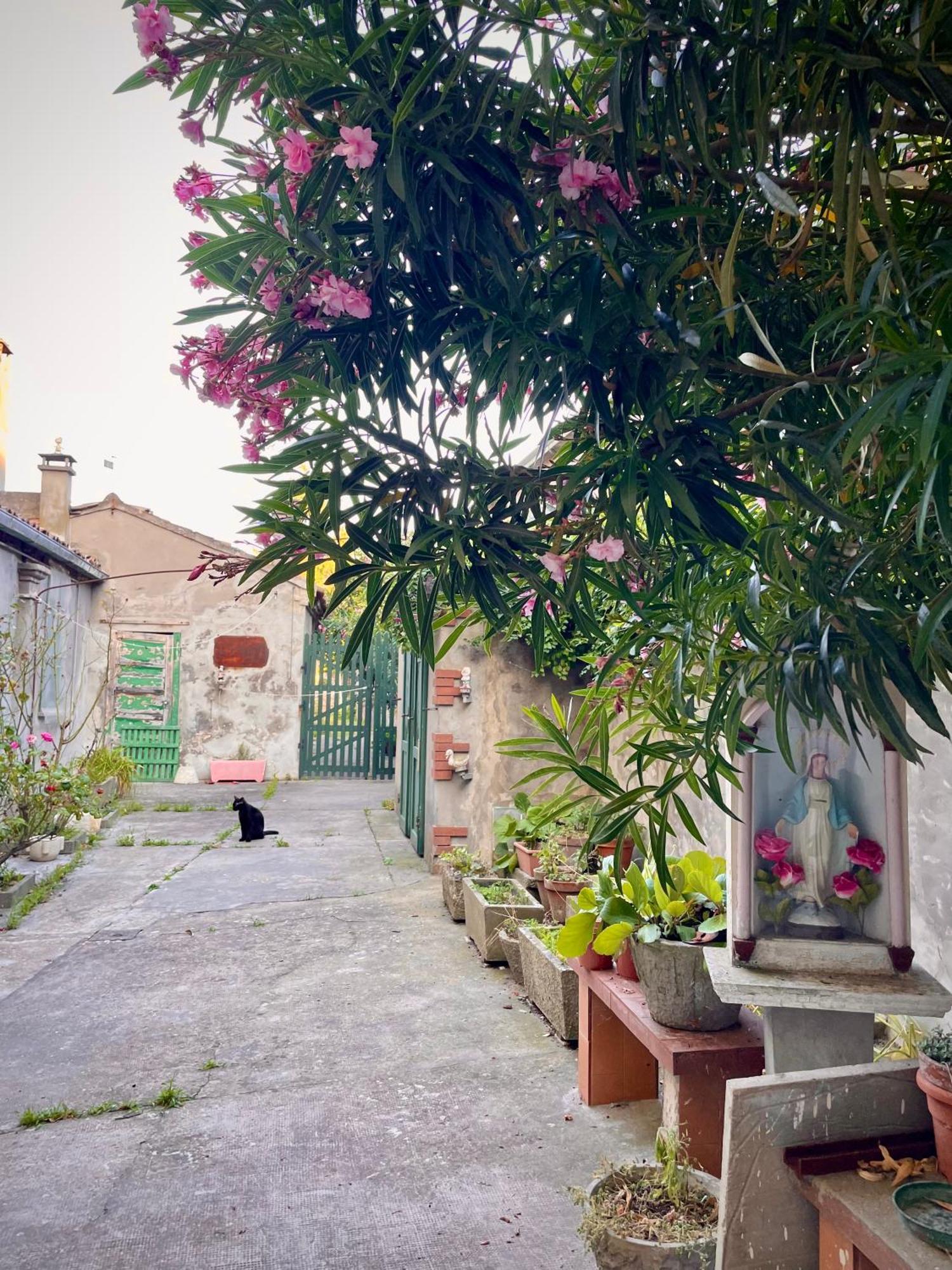 L'Encanto De Luna -Una Casa Autentica Comacchiese Comacchio Esterno foto